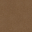 Ковролин Radici Abetone Beige 4796  | FLOORDEALER